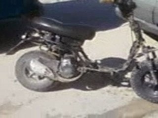 algerie moto de abdelaziz bouteflika