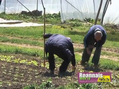 Minutes Jardins Carottes glacées à la crème