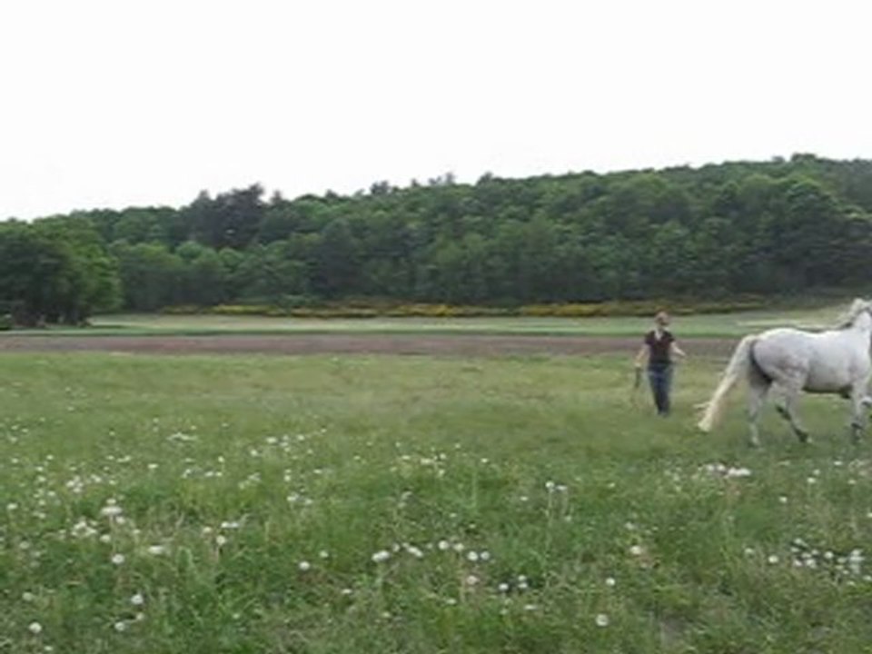 MVI_2906