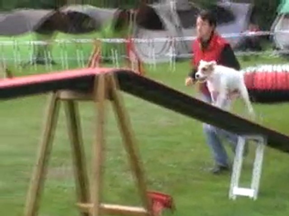 15 05 2011 Agility Vodka Grade 1 Tielte