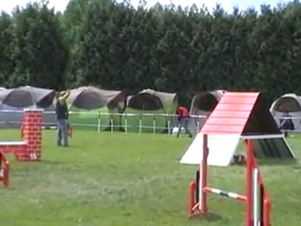 15 05 2011 Donnie - Agility - Grade 1 - Tielte