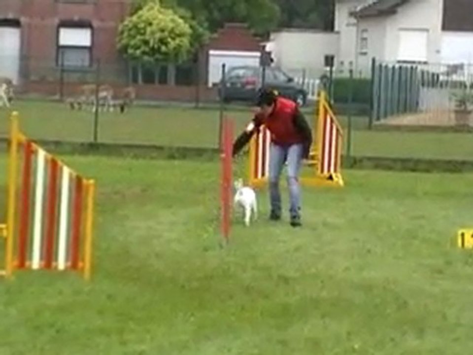 15 05 2011 Donnie - Jumping - grade 1 - Tielte