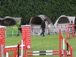15 05 2011 Laurence - Agility - Tielte
