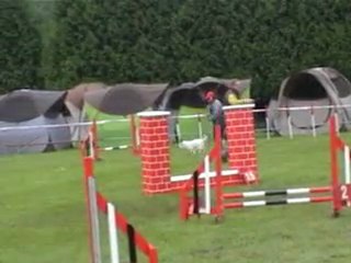 15 05 2011 Help et Tatal - Agility - Tielte
