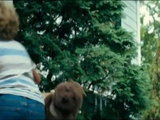 Le Complexe du Castor Bande annonce du film