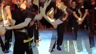 Wing Chun Kung Fu I Séminaire Toulouse I 2011