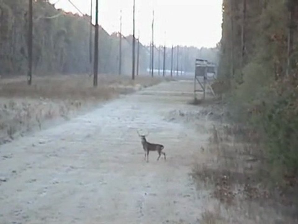 Kör Nişancı www.avyaban.com - ergo