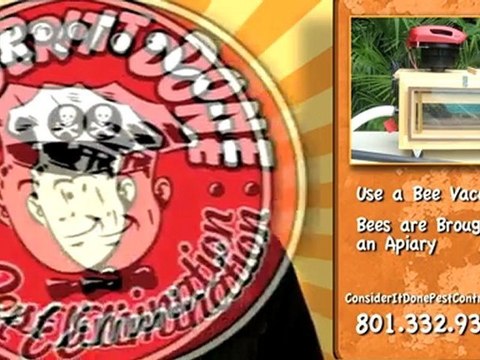 Pest Control Layton - About Consider It Done Pest Control