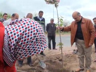 ECZACILAR FIDAN DIKTI [ TALAS KAYSERI ]