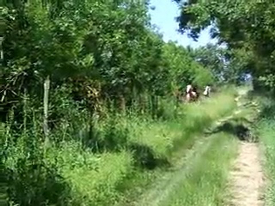 uhlan et ses juments 2
