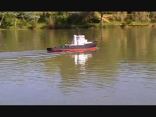 essai abeille flandre