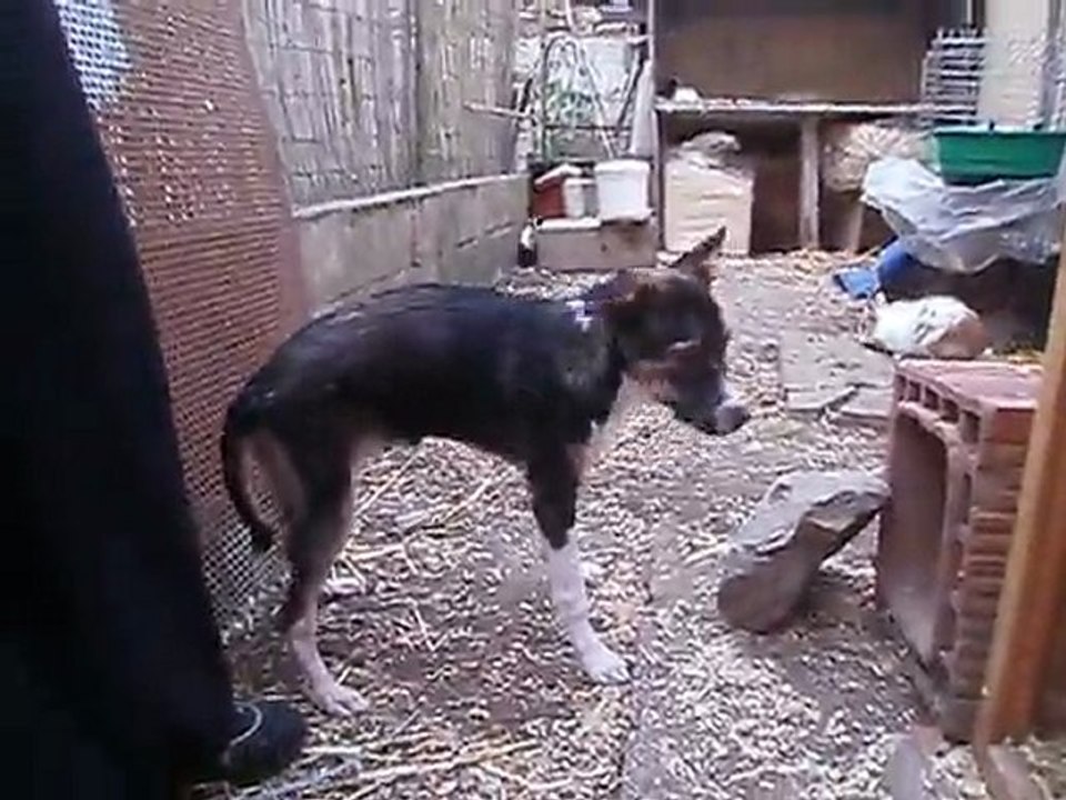 CALINE CHEZ TATA SNOW