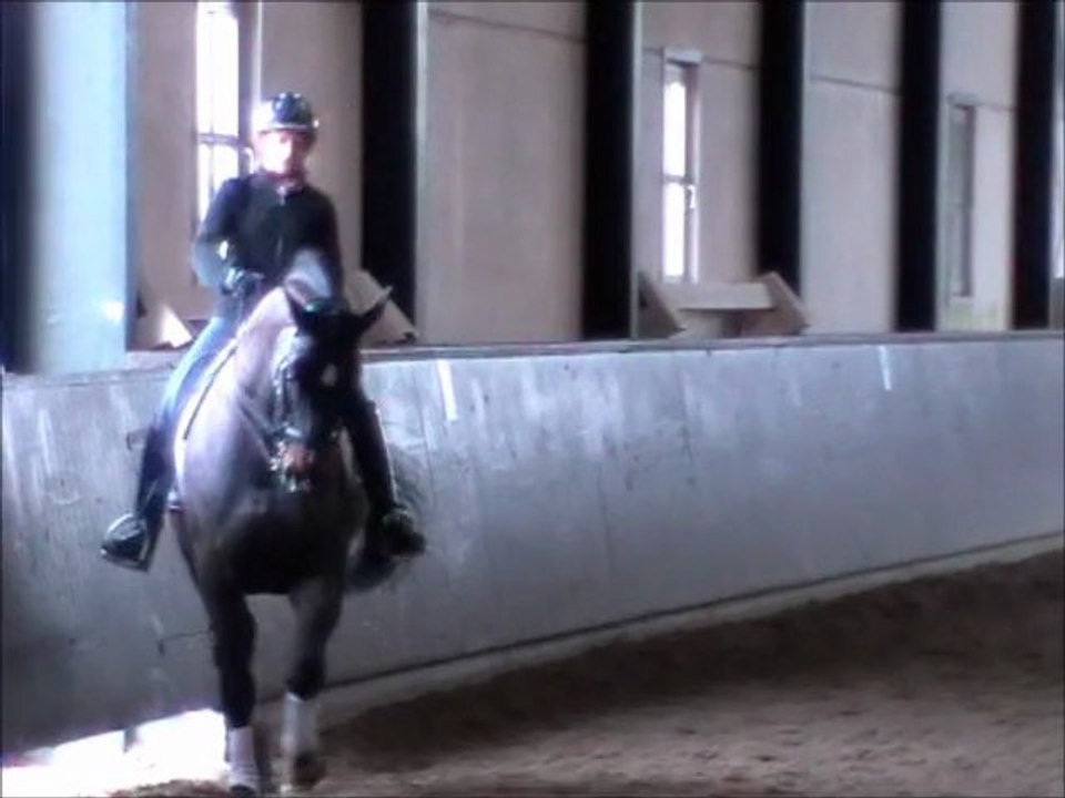 Travail en vue de l'épaule en dedans