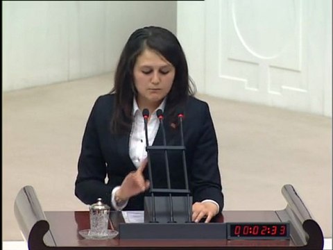 Büşra GÜNGÖR - TBMM Konuşması (24 Nisan 2011)