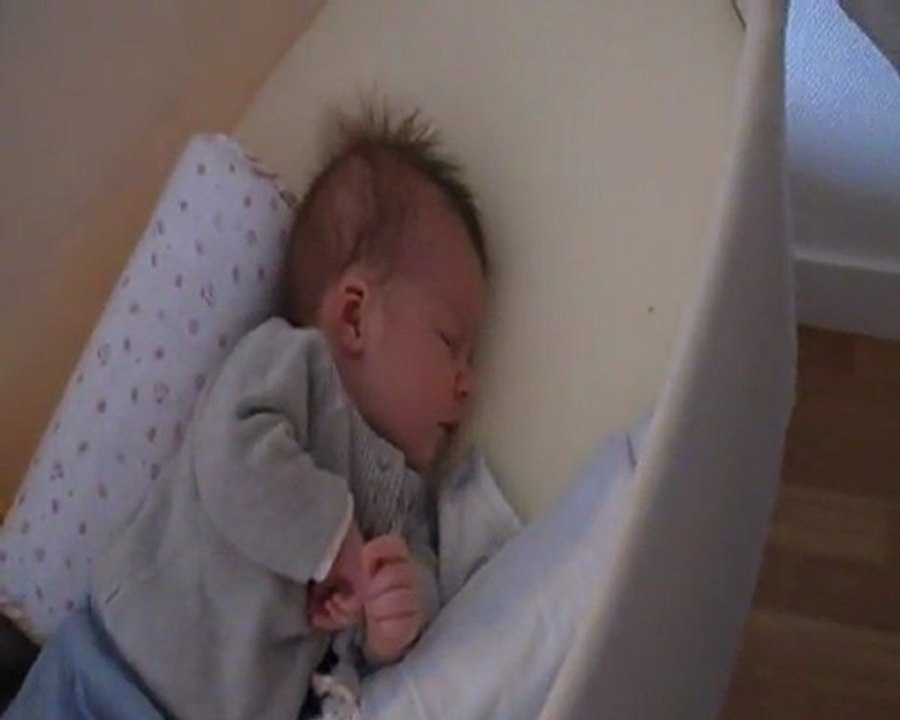 Quand Cleo dort