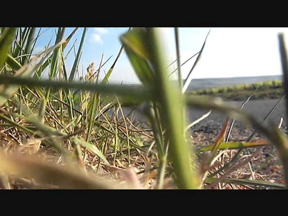 Alfa Romeo GTV 2.0 V6 Turbo - Ragazzon sans gamelles