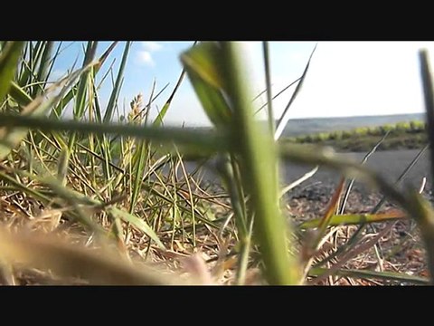 Alfa Romeo GTV 2.0 V6 Turbo - Ragazzon sans gamelles