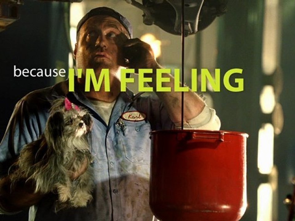 Like Toy Dogs? Get Straight Talk