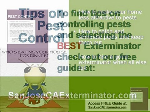 San Jose Exterminator