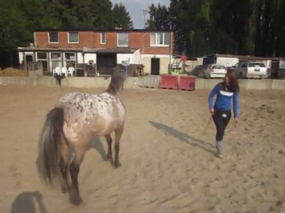 Travail à pied - 17.04.11