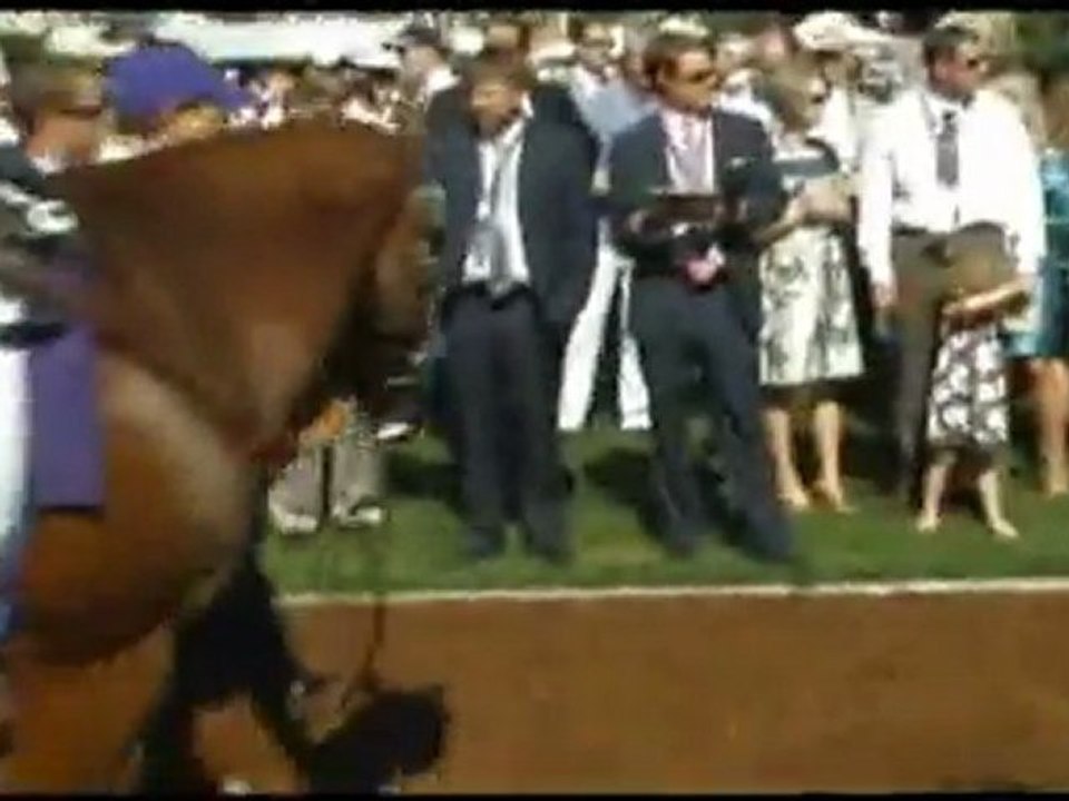BC Juvenile Turf