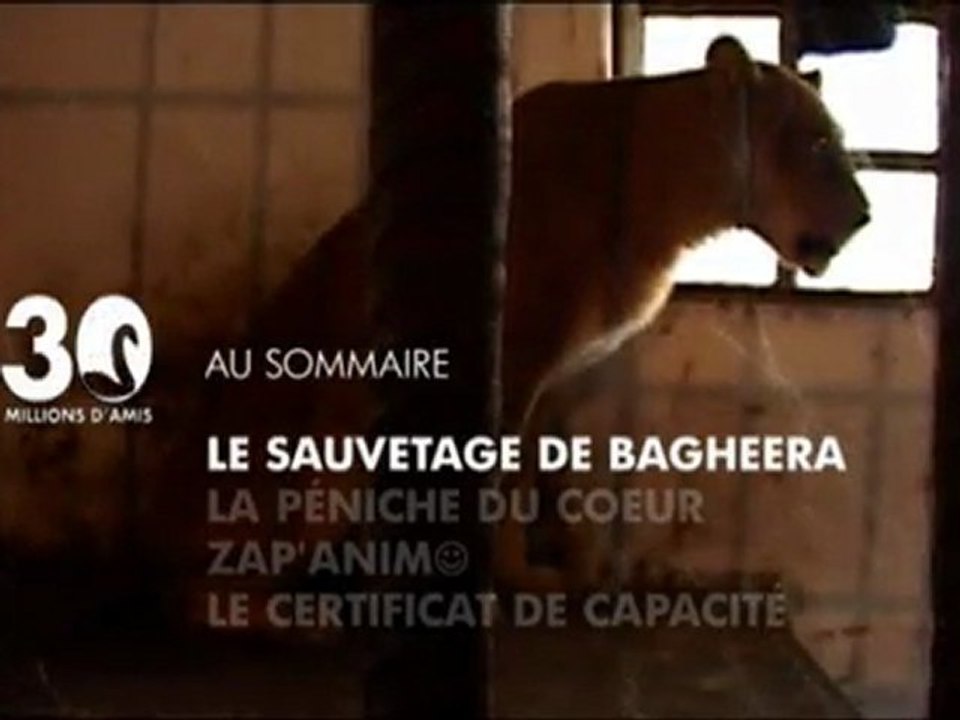 Sommaire emission 30 millions d'amis 14 05 11