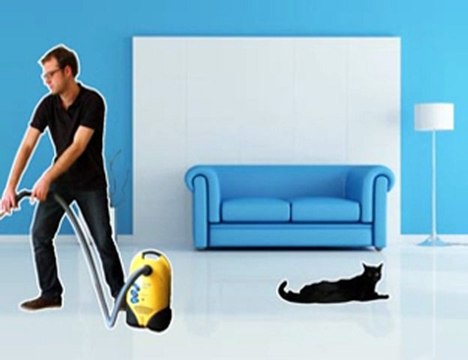 Concours O2 : Chat ne serait jamais arrivé si vous aviez fait appel à O2