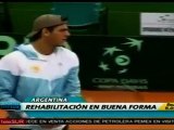 Del Potro confía en recuperarse para Roland Garros