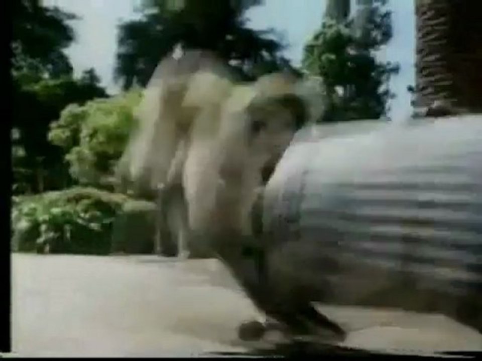 Beethoven's 2nd (Australian ad - 1993)