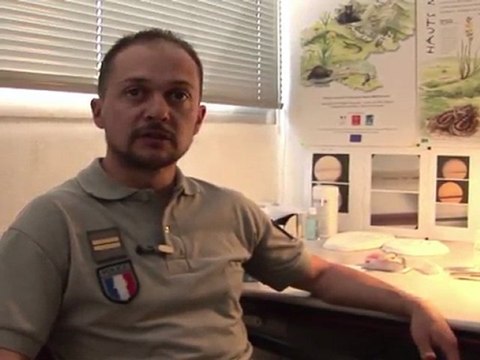 Pyrénées: la difficile mission des pisteurs d'ours