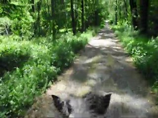 Susu balade en cordelette