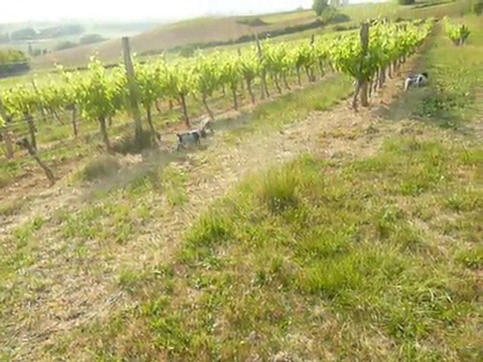 première sortie dans la nature