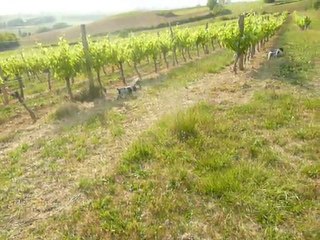 première sortie dans la nature