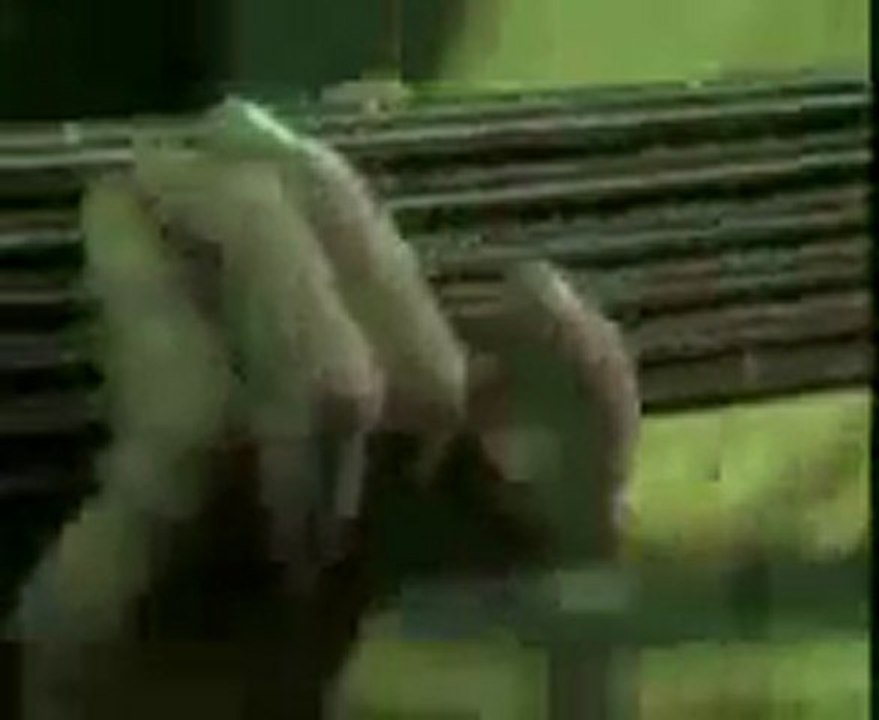 civan heco(EVRENSEL MUZİK PINARI)