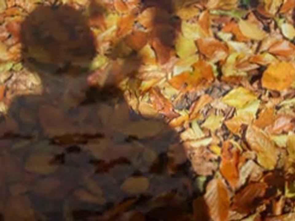 Săndel Spînu - Bocet în ploaie