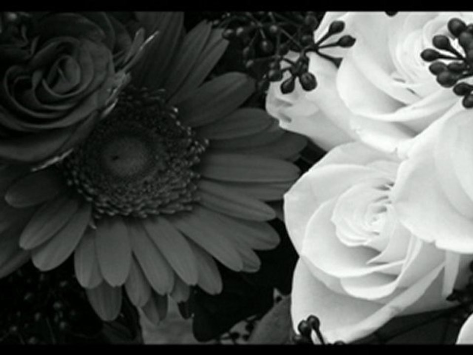 İSTANBUL ,iSTANBUL OLALI  [HD]  & SEZEN AKSU