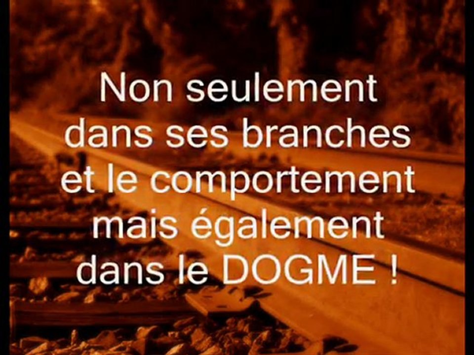 La purification et l'éducation par sheikh Al Albany