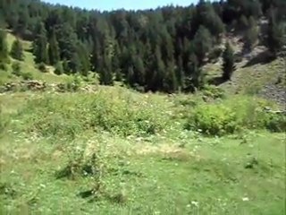 AŞAĞI YAYLALAR 2010