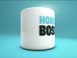 Horrible Bosses - Trailer [VO-HD]