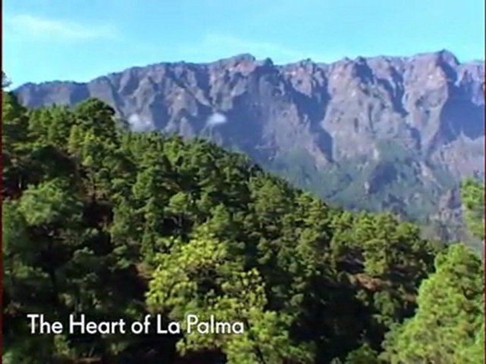 The Heart of La Palma-Luxury Shore Excursion from ...