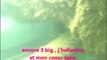 silures sous l'eau dans l'hérault dans le milieux naturel en apnée en vidéo