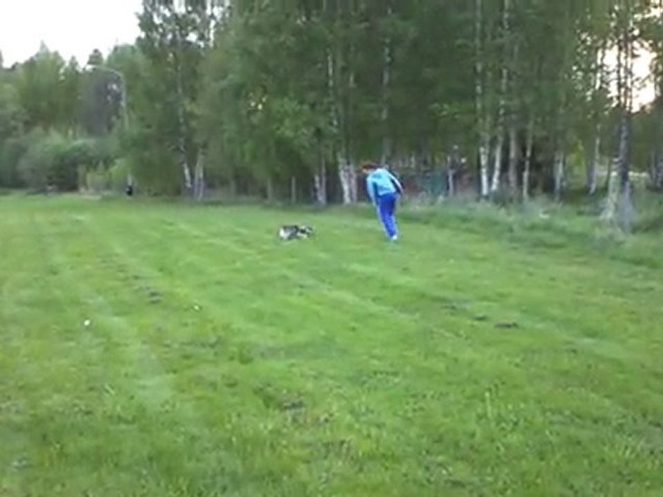 Agility träning 2