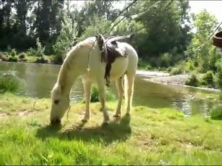 La petite plage du Vidourle et le galop du boulodrome