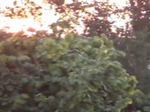 beau soleil couchant