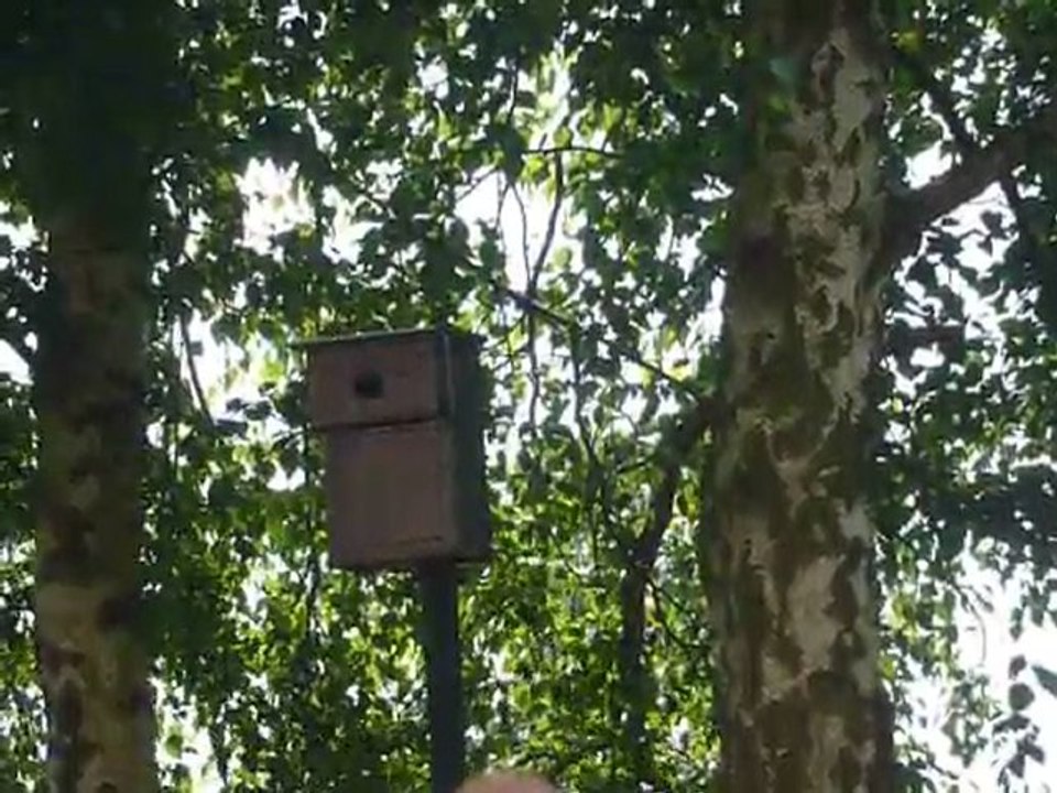 2011-05-09-Quick.MOV