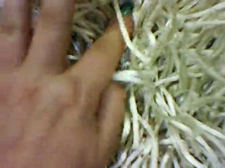 The Pro's and Con's of an Acrylic Shag rug