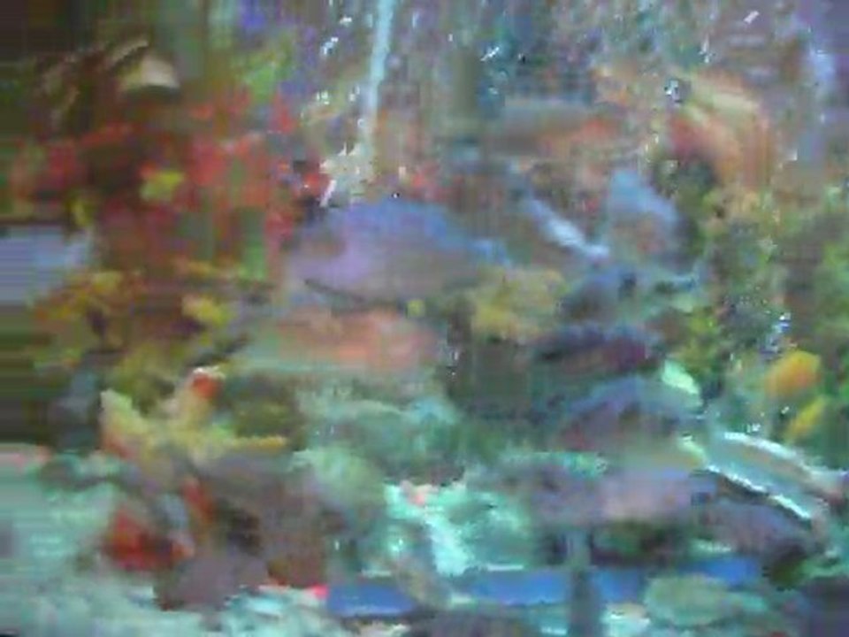 DSCF2392