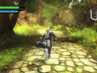 Kingdoms of Amalur : Reckoning - 5 minutes de gameplay