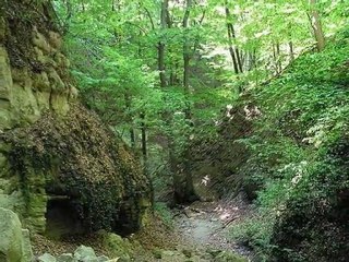 CSODÁLATOS TERMÉSZET