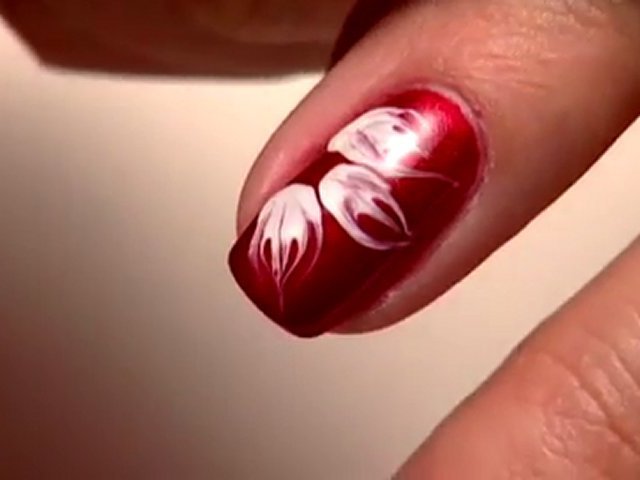 Shellac by CND